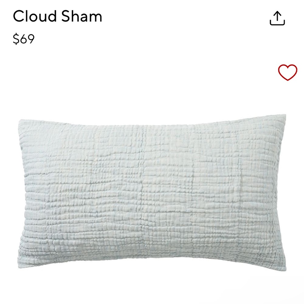 Pottery Barn Cloud King Sham